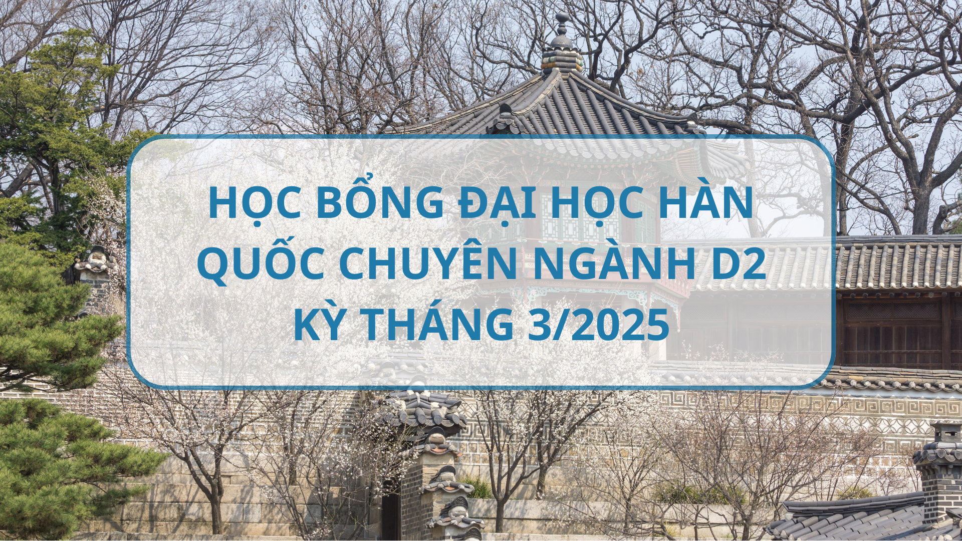  THÔNG TIN HỌC BỔNG CÁC TRƯỜNG ĐẠI HỌC HÀN QUỐC CHUYÊN NGÀNH D2 KỲ THÁNG 3/2025