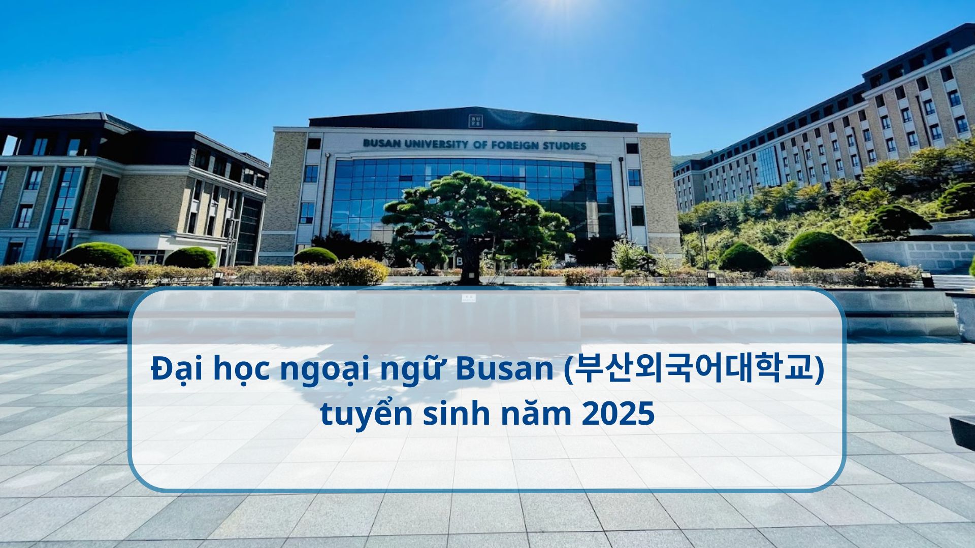 Đại học ngoại ngữ Busan (부산외국어대학교) tuyển sinh năm 2025